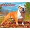 For the Love of Bulldogs | 2026 14 x 24 Inch (Hanging) Monthly Deluxe Wall Calendar | Foil Stamped Cover | Plastic-Free